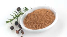 Gourmet - box VE 10 x 150 g, 3,5% Kýbl