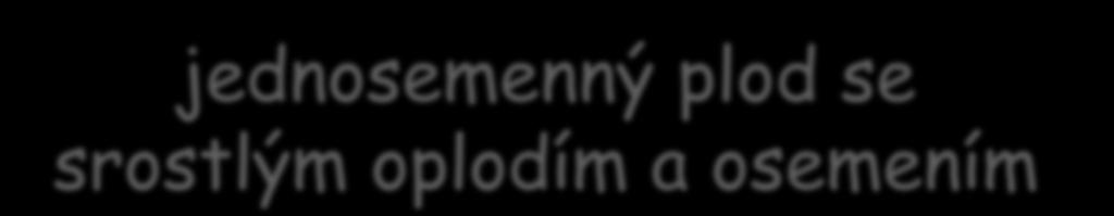 jednosemenný plod