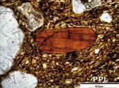6:4 Pyroxen.