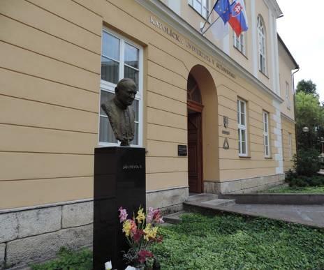 Busta bl. Jána Pavla II.