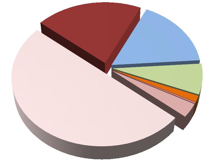 Pracovní diagnostika Počítačová pracovní diagnostika byla určena pro všechny účastníky projektu Neseďte doma!