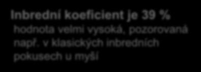 Inbriding příbuzenské sňatky a jejich rizika Zajímavost: koeficient inbridingu a příbuznosti v jednom zajímavém rodokmenu 7: 68-letý muž 8: sestřenice muže 7 9: dcera muže 7 10: dcera i vnučka muže 7