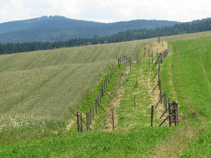 PŘÍLOHA 2 - Krajinné prvky podle GAEC Mez Travnatá (zatravněná) plocha liniového tvaru, s porostem či bez