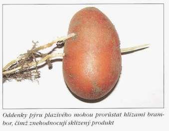Formy škodlivosti plevelů z hlediska zemědělce Snížení kvality produkce - odebírání půdní vláhy pěstovaným plodinám - ochuzování pěstovaných plodin o živiny - zastiňování a potlačování pěstovaných
