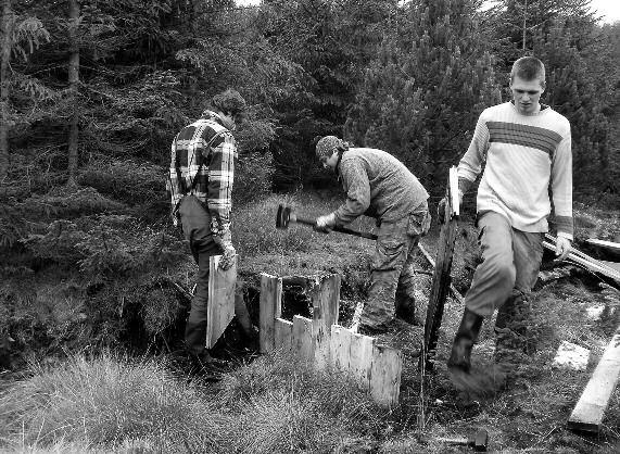 Revitalizace rašelinišť v Jizerských horách Jak jsme v bažině budovali dřevěné přehrádky Leoš Vašina ml.