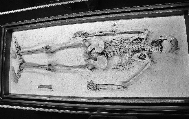 roky. Hrádek nad Nisou je poprvé v písemných pramenech doložen roku 1288, ale trám nalezený při archeologickém výzkumu byl zhotoven dle výsledku laboratoře z dubu, který byl pokácen mezi lety 1219