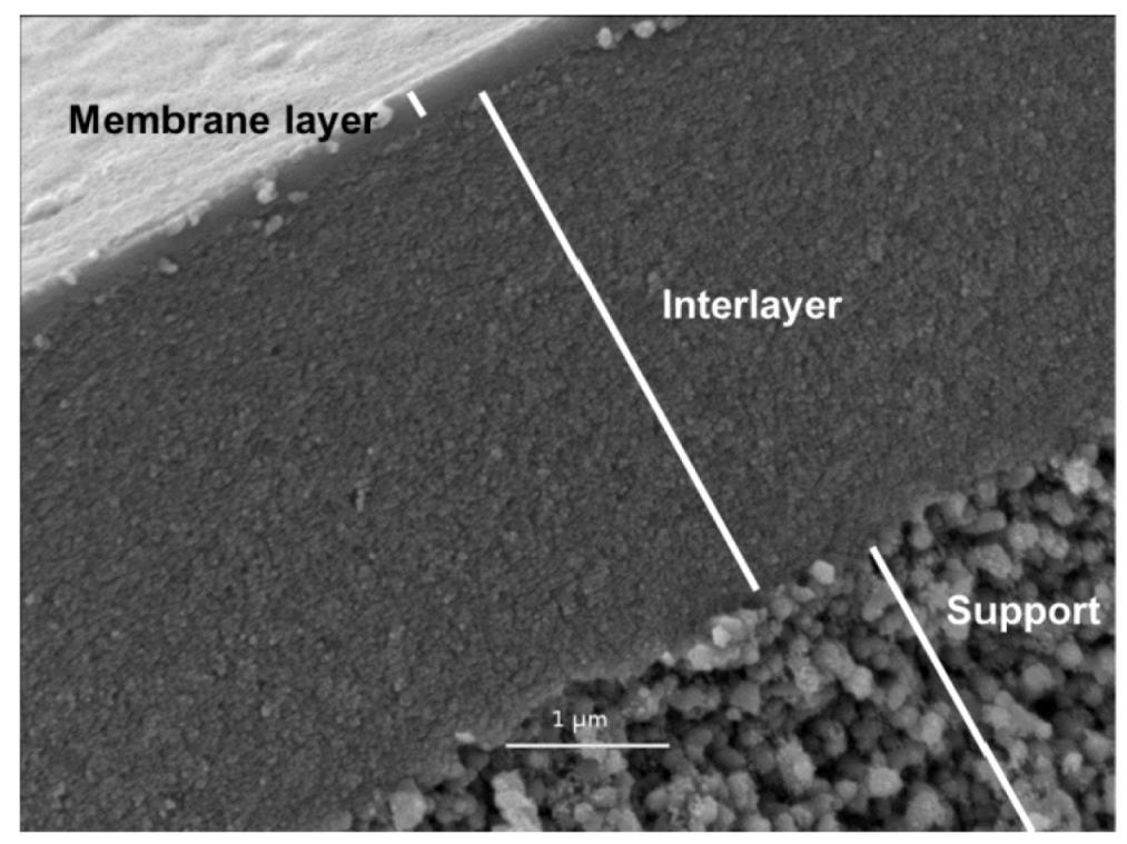 Obr. 1: Ukázka tradiční porézní struktury filtrační membrány s uniformní porozitou připravená jako vicevrstvý kompozit (zdroj http://www.mdpi.