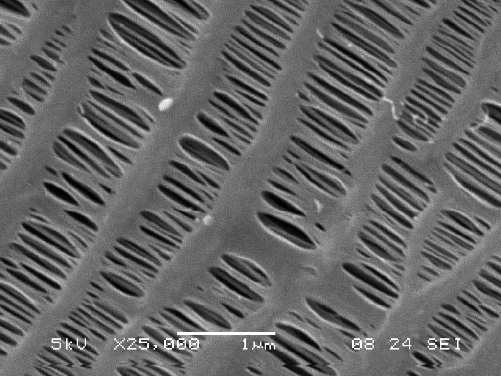 Obr. 2: Ukázka vnitřní struktury extrudované polypropylenové membrány ve formě dutého vlákna od Zena Membranes (http://www.zena-membranes.cz/index.