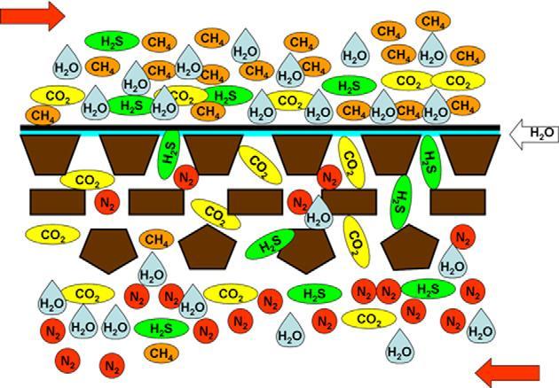 Membrána založená na tomto principu (Obr. 17) prokázala svůj potenciál při čištění surového bioplynu, kdy byl CH 4 oddělen od CO 2, H 2 O, H 2 S, NH 3, aromatických a alifatických uhlovodíků [20].