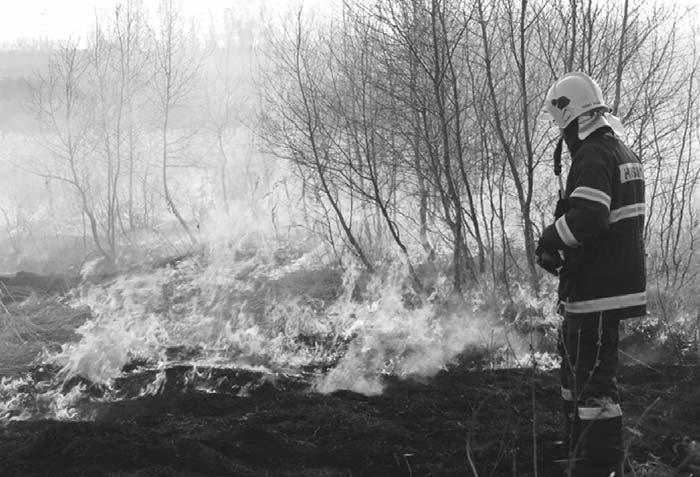 Po provedeném průzkumu jsme spolupráci Policii při nakládání a převozu dokumentů na stanici Policie do Kostelce nad Labem odmítli.