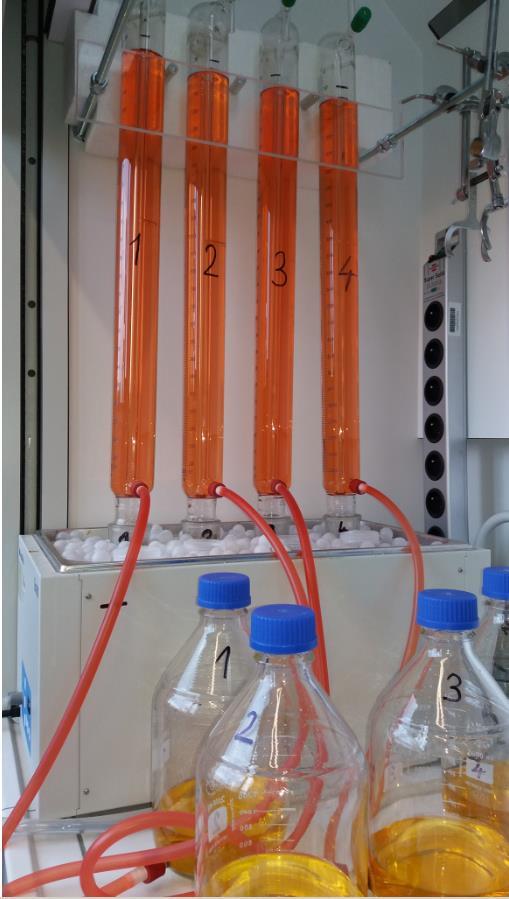 Postup prací Dohodnuto bylo provedení testu diskontinuální mezofilní anaerobní digesce pomocí lahvičkových bioreaktorů a plynoměrných byret.