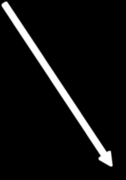 ELI Beamlines