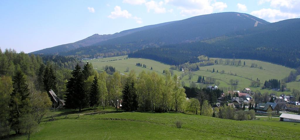 Za zmínku stojí také výskyt ostřice prosové (Carex panicea) přímo na vápencových skalkách, jejíž terénní determinace byla potvrzena po dopěstování P. Batouškem.