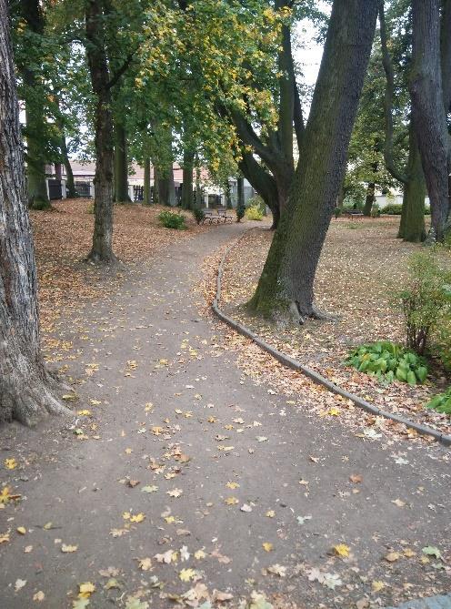 26 Pohyb po zámeckém parku