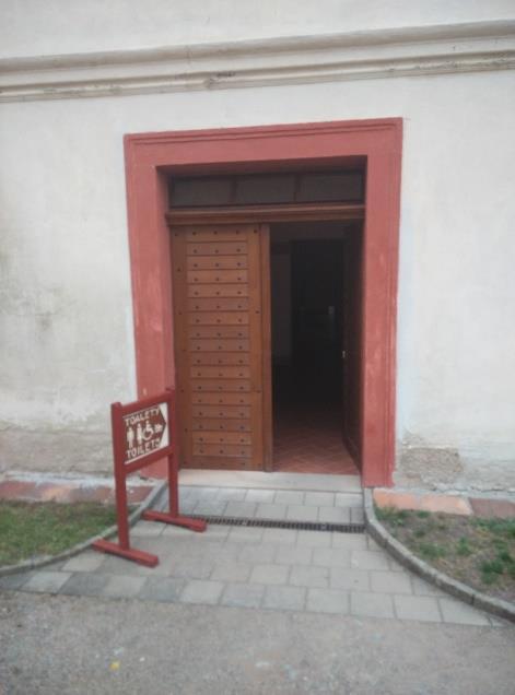 postižený Snížená pohyblivost Zrakové