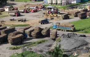 SanCarlos BioPower DOSAH