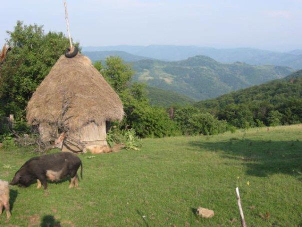 Pohled na Rovensko