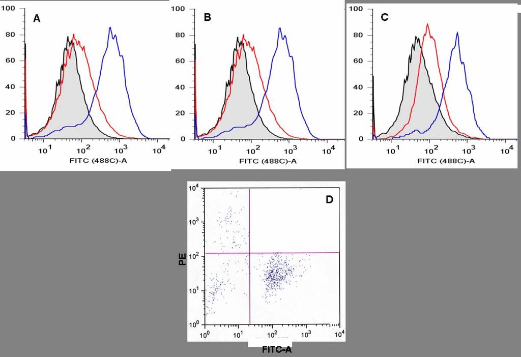Výsledky Obr. 39: Detekce integrinu CD11b/CD18 na povrchu S2 buněk. Buňky S2-CD18 byly transfekovány plasmidy pac5.1cd11b-hygro (A), pmtcd11b-hygro (B) nebo pmt/bip/cd11b-hygro (C).