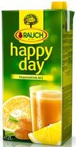 Portfolio nápojů Happy Day Jablko, Pomeranč, Multivitamín Tetra Pak 2 l, 6 ks / karton Happy Day