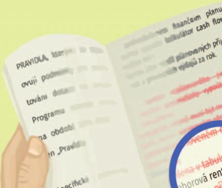 Program rozvoje