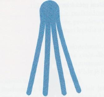 Obr. 4 vějíř (Kobrová et al., 2012) Obr. 5 síť (Kobrová et al., 2012) Obr. 6 donut hole (Kobrová et al.