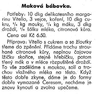 Po představení fungování a složení parlamentu vystoupila před účastníky Olga Sehnalová, která jim přiblížila náplň práce europoslance, její kompetence a oblasti působnosti.