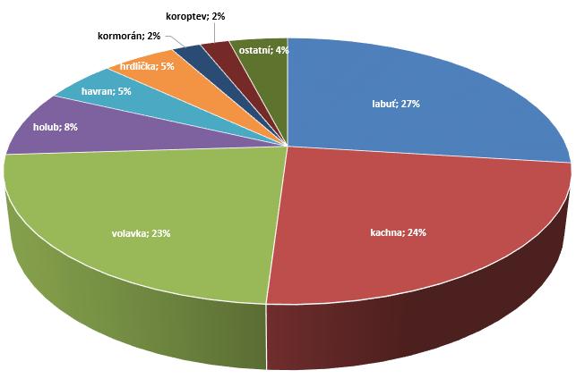 Procentuální zastoupení vyšetřených uhynulých volně žijících ptáků v roce 2017 Z grafu č.
