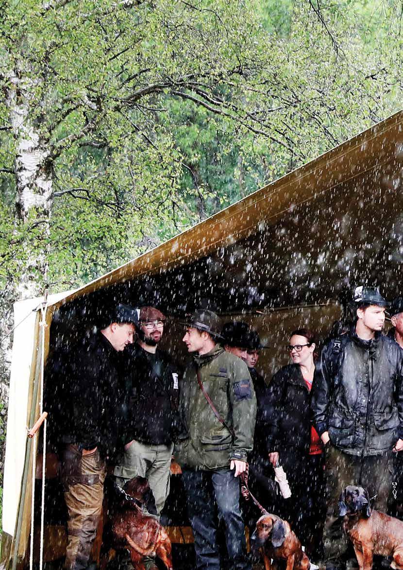 Výsledky IX. klubové výstavy Výsledky 11. Klubové výstavy, Libavá, BAVORSKÝ BARVÁŘ PSI číslo jméno psa vržen dne majitel známka Třída mladých 1 Akis od Žižkova mlýna 19.6.