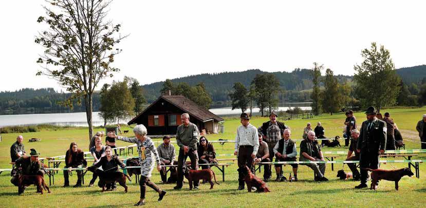 Výsledky 2. Speciální výstavy barvářů Olšina 9. 9. 2017 Polná na Šumavě Letošní druhá speciální výstava barvářů proběhla v sobotu 9. 9. 2017 v rekreační středisku Olšina v obci Polná na Šumavě.