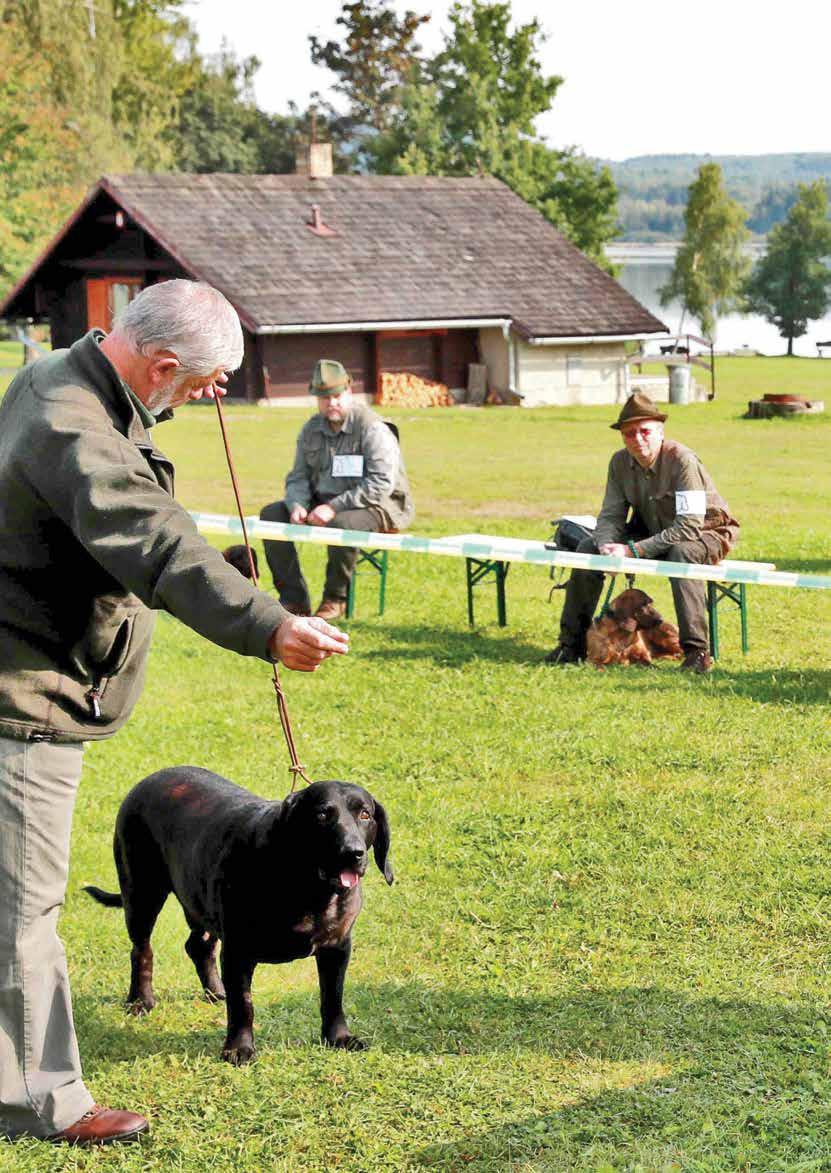 Bavorský barvář psi Číslo a jméno psa vržen dne číslo zápisu majitel známka Třída mladých 1 ARGO od Dolanského mlýna 12.5.2016 BB/6632 Váňa Jiří V3 2 AZOR od Dolanského mlýna 12.5.2016 BB/6633 Brus Radek VD3 3 BRIT od Bublavé skály 25.