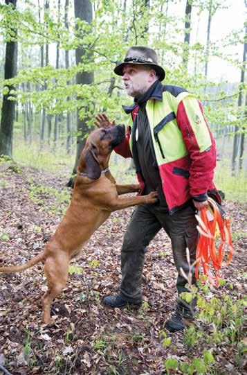 Na výstavě proběhla také bonitace pro zařazení do chovu, výsledky bonitace jsou rovněž uvedeny dále ve zpravodaji. Ve dnech 5. až 8. října se Marek Nekl zúčastnil s Eronem ze Studnických strání 8.