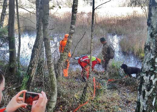šení psa a mizí kamsi v bažinách. Po asi 1500 metrech je na GPS vidět že se psovi podařilo laň zastavit, tak se blížíme, ale působíme značný hluk.