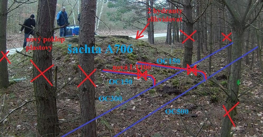 Šachta A706 1. pořez stromů a nakrácení (plochu zvolí zhotovitel dle použité technologie) 2.