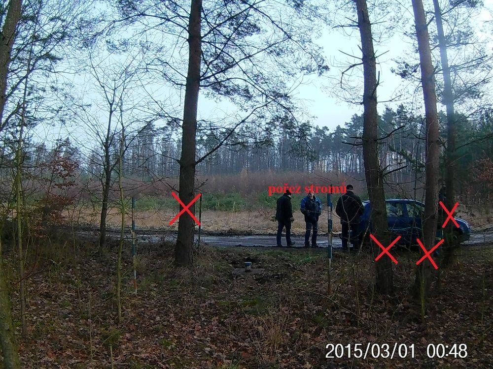 Šachta A702 7. pořez stromů a nakrácení (plochu zvolí zhotovitel dle použité technologie) 8.