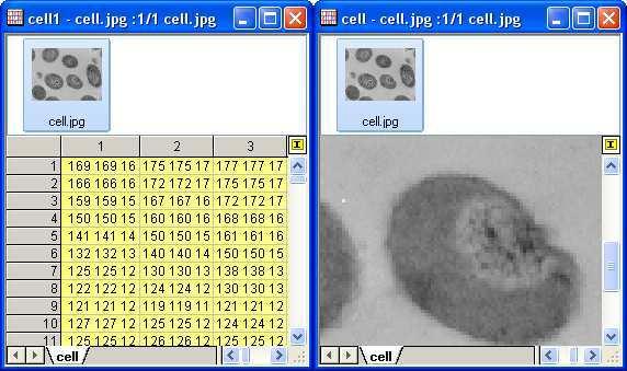 10 Origin hierarchia objektov OPJ MatrixBook -môže obsahovať viac pracovných listov matice Matrix sheet Matrixsheet-každý má vlastné meno odkazujeme na nich pomocou mena alebo indexu (číslované
