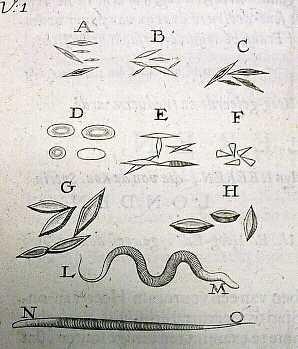 Historie mikroskopie
