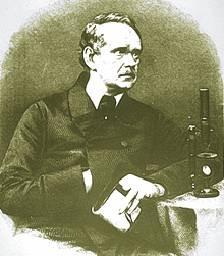 Buňka je základní, stavební a funkční jednotkou živých organismů. Rudolf Virchow (1821-1902) nové buňky vznikají jen dělením z již existujících L.