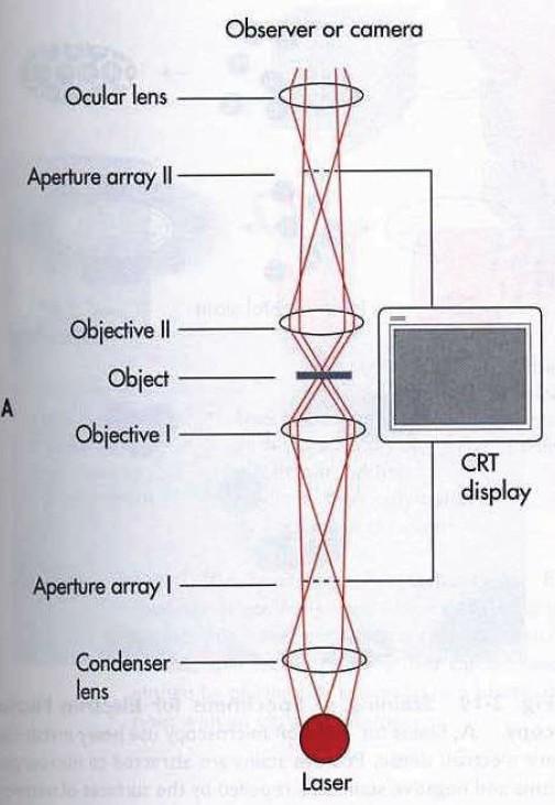 Doposud zmiňované optické mikroskopy (optický + varianty a speciální mikroskopy) vytvářejí obraz okamžitě, jako spojitý celek.