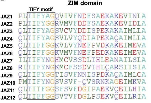 91 Proteiny JAZ obsahují konzervovanou doménu Jas a doménu ZIM/TIFY.