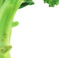 EverFresh+ zóna I Aktivní modré
