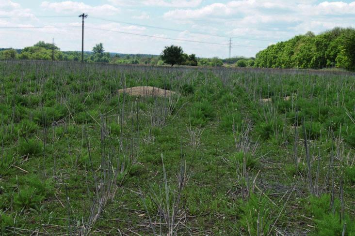 365 m vzdušnou čarou od nejbližší břehové hrany Mlýnského rybníka a přibližně 1200 m od Prostředního