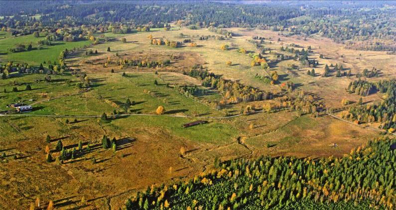 bezzásahová ochrana (příklad jihomoravská slaniska na solončacích) do 80.-90. let, v některých typech společenstev uplatňována prakticky dodnes.