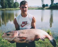 ❷ ➐ ANNA ŠUBÍNOVÁ: MO SRZ Záhorie. Sumec veľký: 31 000 g, 1 450 mm. VN Kráľová, 18. 9. 2004. Svedkovia: Rudolf Kovačič, Drahomír Vajdák, Eva Vajdáková. Posielame strieborný odznak.
