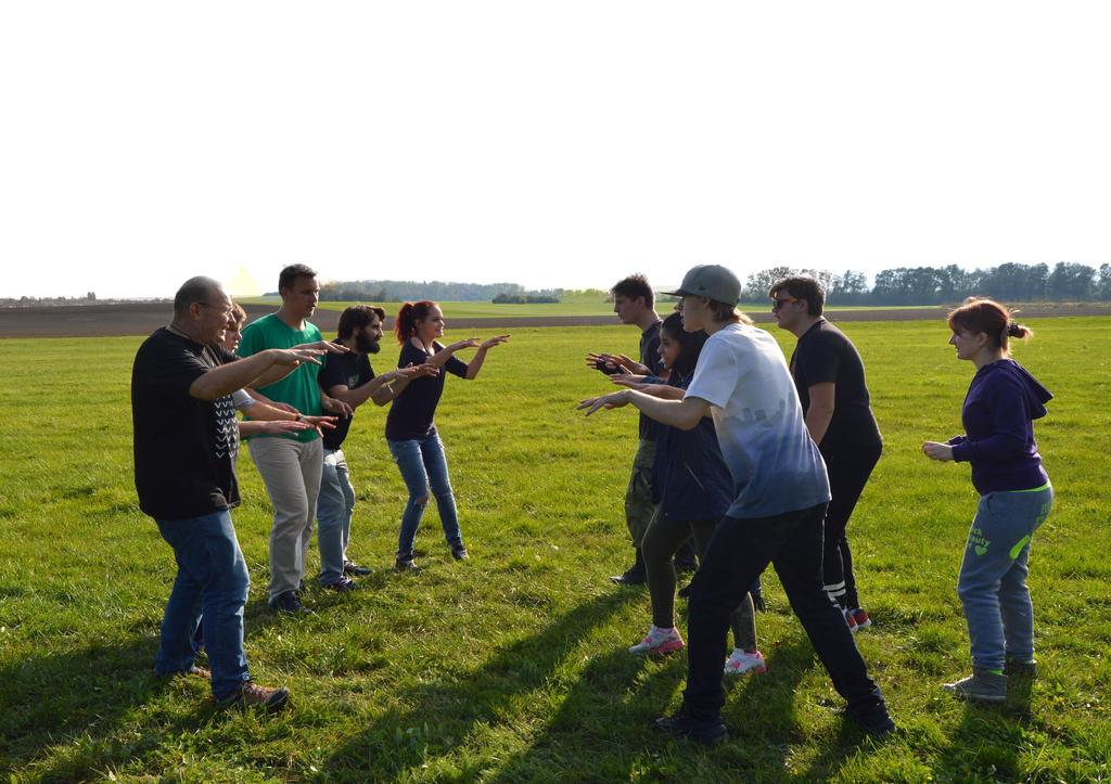 Výroční zpráva 2017