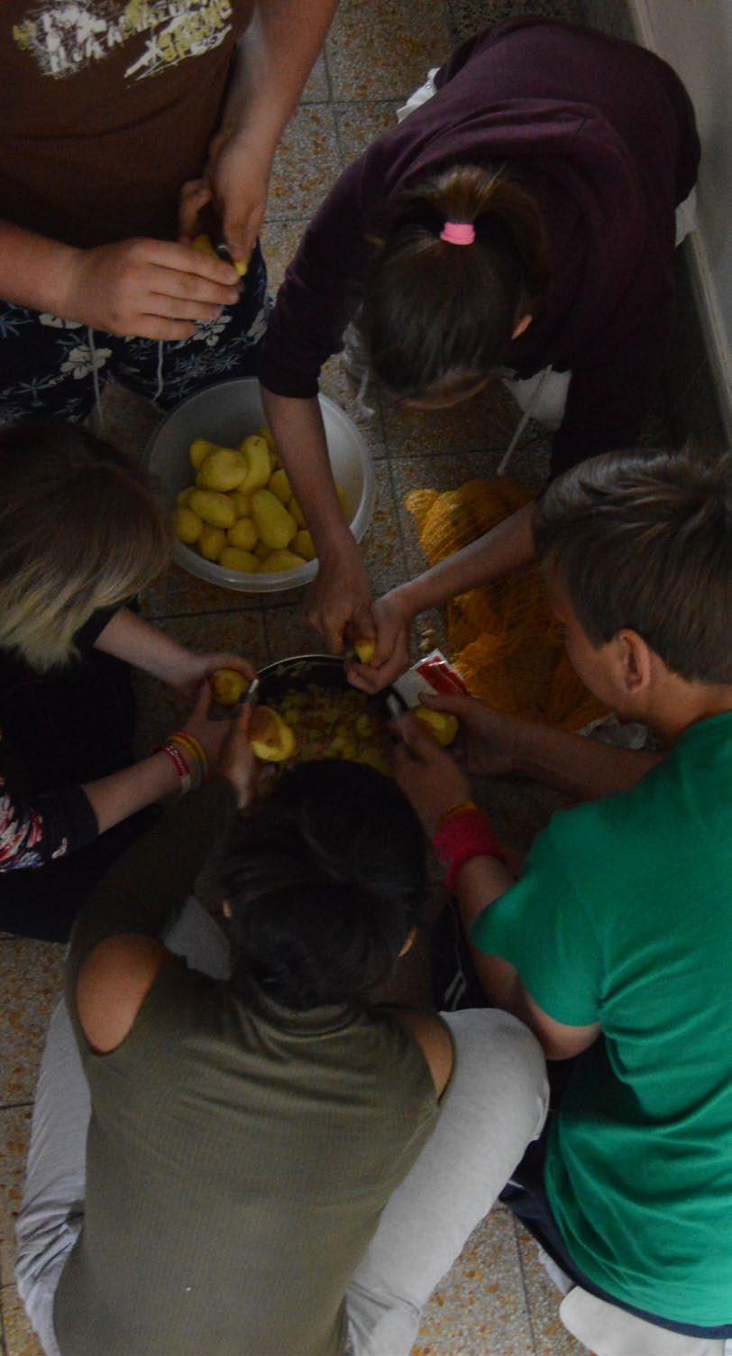 DOBROVOLNÍCI Naši dobrovolníci nám pomáhají v různých oblastech, od zapojení v přímé sociálně-pedagogické práci, přes pomoc s organizací akcí, rozšiřování Bulletinu, poradenství v různých oblastech
