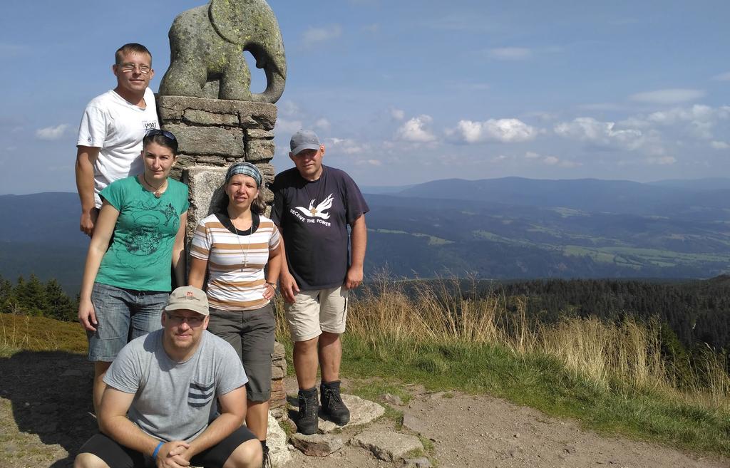 VÝKAZ ZISKU A ZTRÁTY NÁKLADY v tis. Kč spotřeba materiálu, energie a služeb 993 osobní náklady 3360 daně a poplatky 0 ostatní náklady 32 náklady celkem 4385 VÝNOSY v tis.
