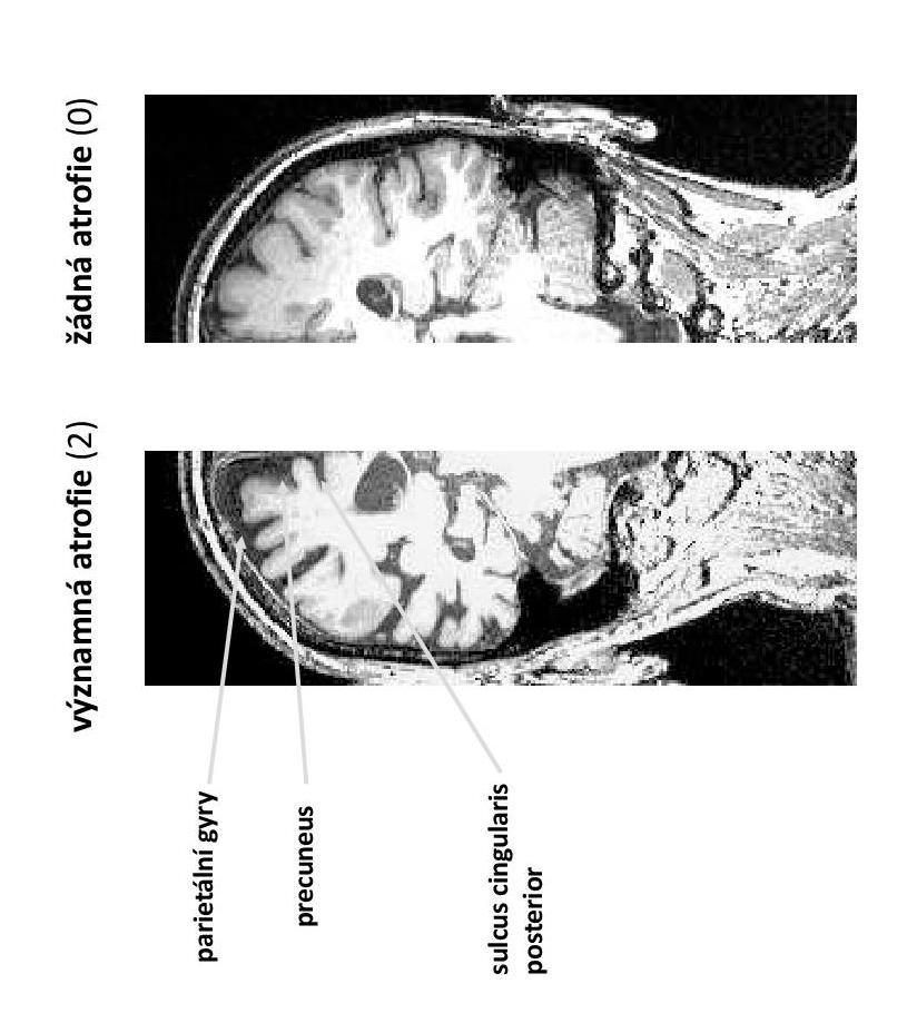 Obr. 1: