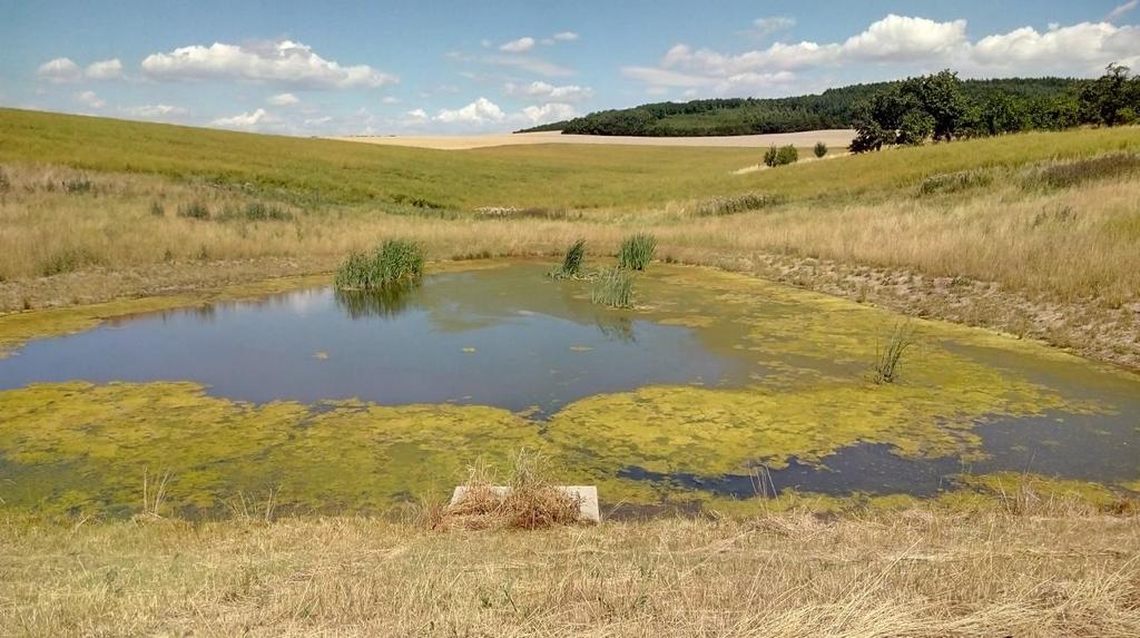 ) Retenční nádrž "Pod Borovicí" s částečným zásobním prostorem s