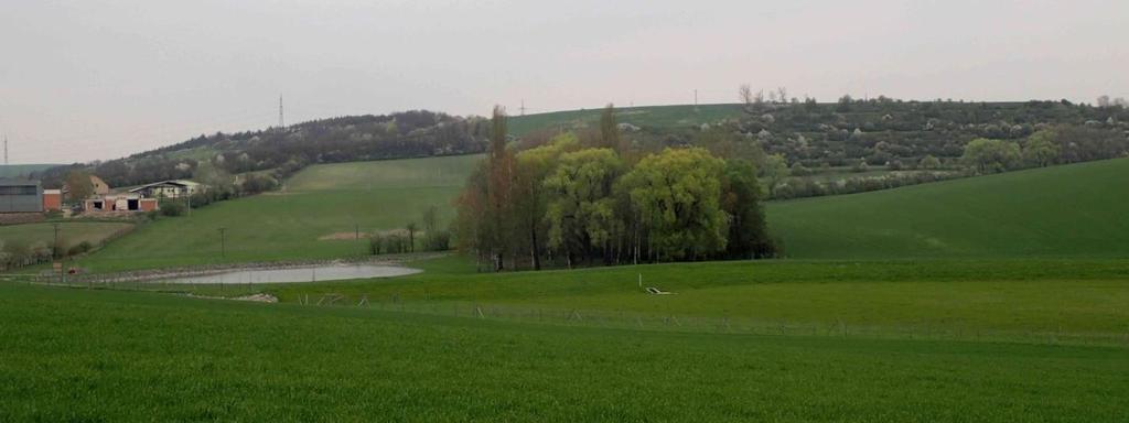 Prušánky (okres Hodonín) (zdroj: VÚV TGM, v.v.i.