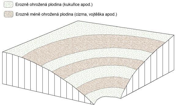 Rychlost efektu krátkodobá 0-3 let x střednědobá 4-6 let dlouhodobá 7 a více let ŘEZ/SITUACE Schéma protierozní rozmisťování plodin,